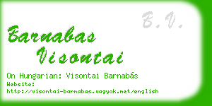 barnabas visontai business card